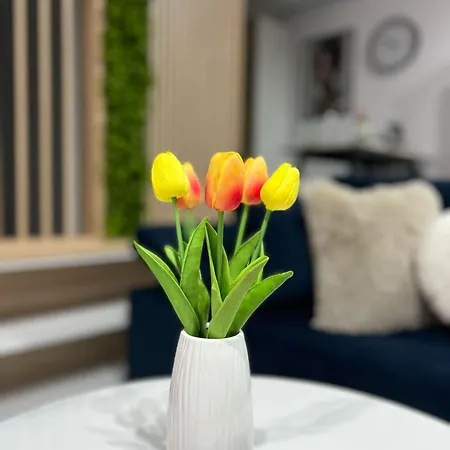 Carpe Diem * Ortijes